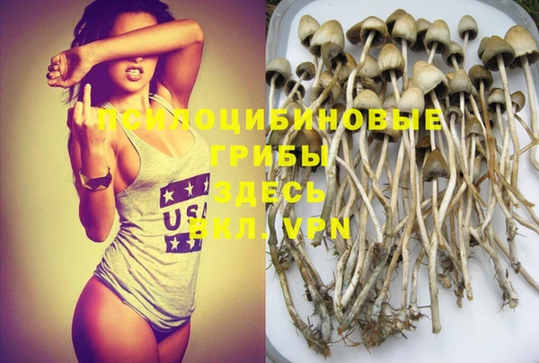 ешки Россошь